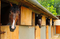 free Littleton Common stable construction quotes
